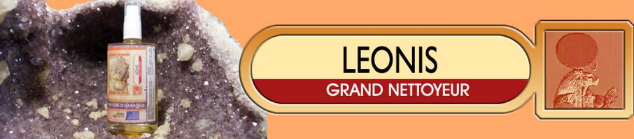 Leonis 1